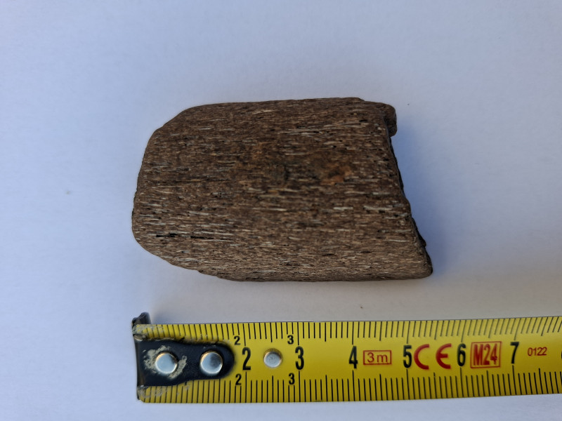 Dit lijkt me een ijstijd-dier