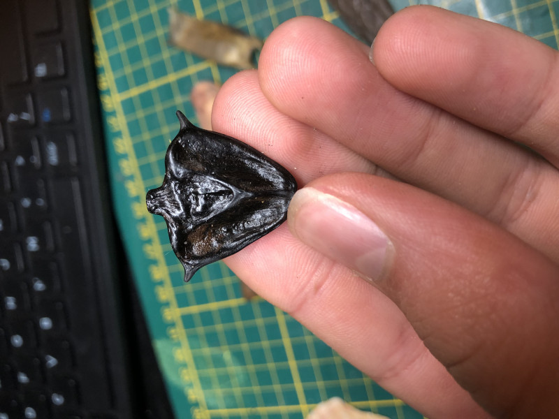 IMG_1740.jpeg (1.79 MiB) 100 keer bekeken IMG_1740.jpeg