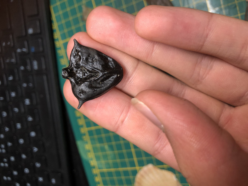 IMG_1739.jpeg (1.73 MiB) 582 keer bekeken IMG_1739.jpeg