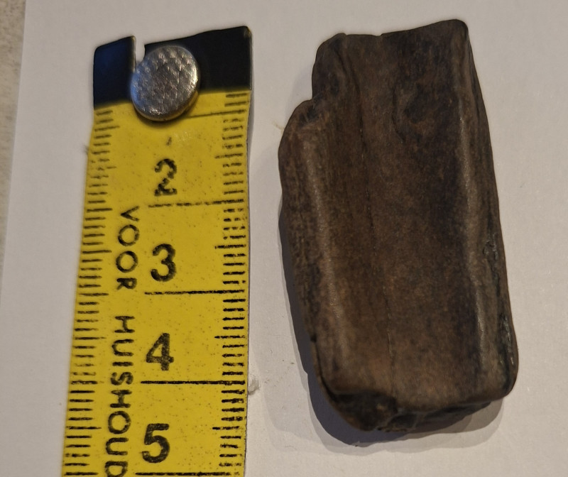 Dit is een bot - z'n broer vond ik gisteren