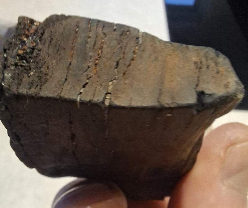 Dit lijkt op hout, maar het zal wel een kei zijn