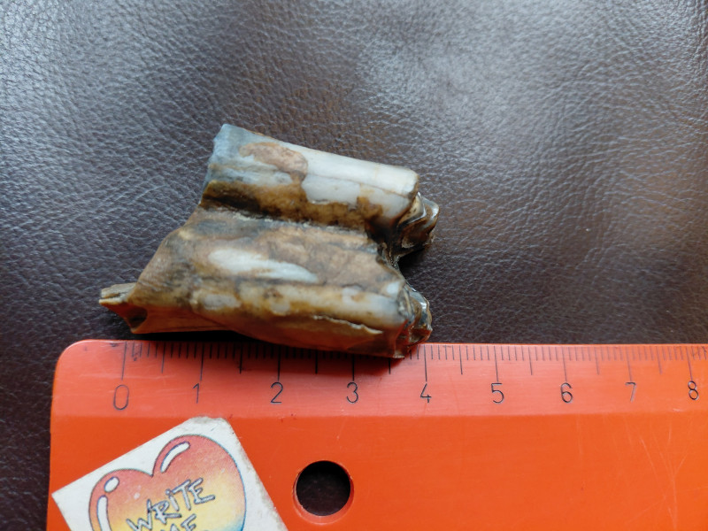 17672695705565299578578880215581.jpg (3.48 MiB) 139 keer bekeken 17672695705565299578578880215581.jpg