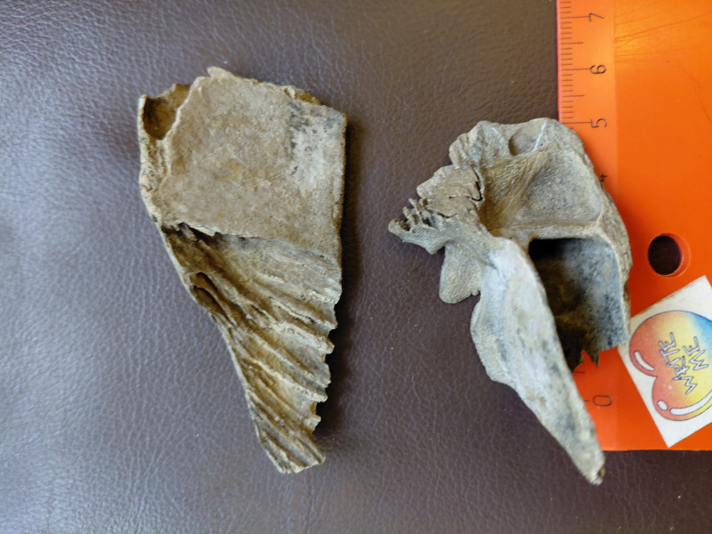 17672700121135043760240987066524.jpg (3.28 MiB) 355 keer bekeken 17672700121135043760240987066524.jpg