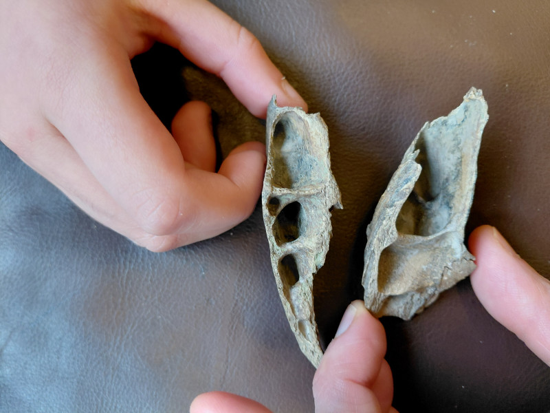 17672700520881805366282214068735.jpg (2.79 MiB) 355 keer bekeken 17672700520881805366282214068735.jpg