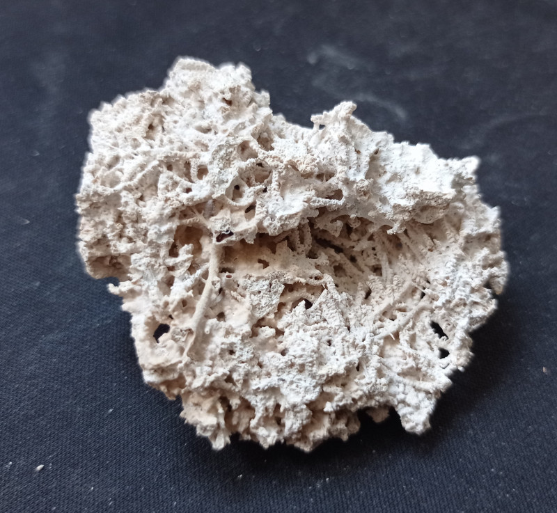 2024-05-18 14.19 Kalktuf Strand Kneippbyn.jpg