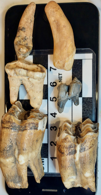 20260127_181713.jpg (1.49 MiB) 412 keer bekeken 20260127_181713.jpg