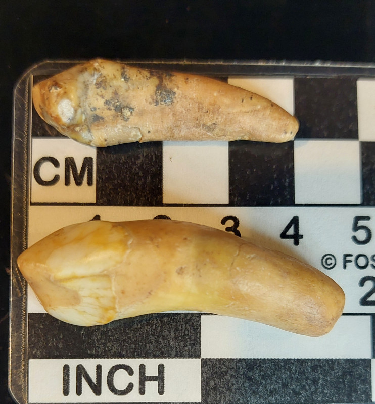 20260127_182348.jpg (882.05 KiB) 413 keer bekeken 20260127_182348.jpg