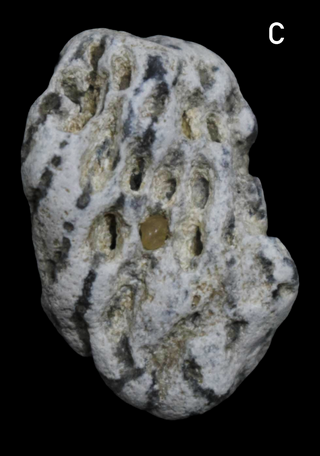 Screenshot 2026-03-01 at 13-02-46 ALlemaal.png (PNG-afbeelding 4060 × 2475 pixels) - Geschaald (36%).png