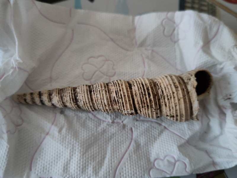 image-f40e68c8-4f8a-4dcf-b021-e1a1d06962fb4404017828048399070.jpg (3.07 MiB) 637 keer bekeken image-f40e68c8-4f8a-4dcf-b021-e1a1d06962fb4404017828048399070.jpg