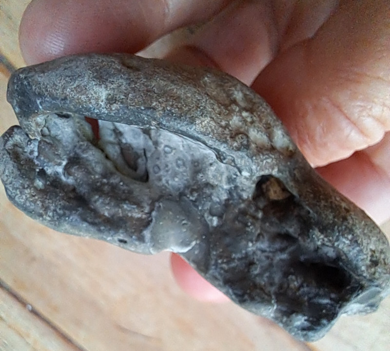 20260321_211330.jpg (365.43 KiB) 54 keer bekeken 20260321_211330.jpg