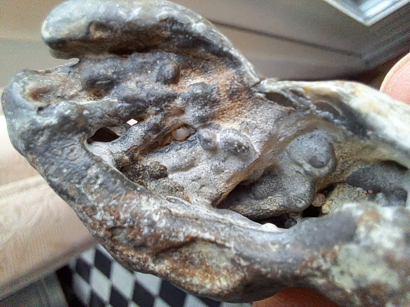 20260321_183405.jpg (821.73 KiB) 54 keer bekeken 20260321_183405.jpg