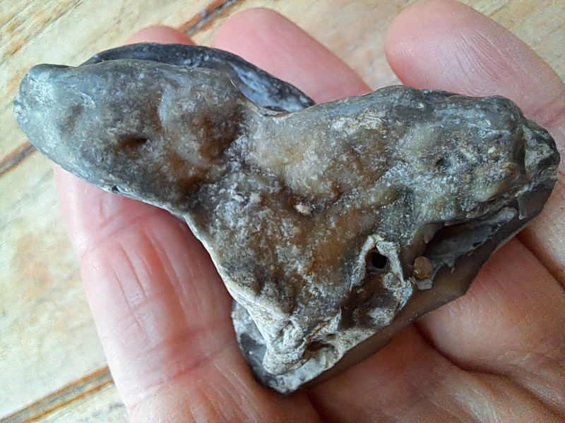 20260321_182603.jpg (774.11 KiB) 54 keer bekeken 20260321_182603.jpg