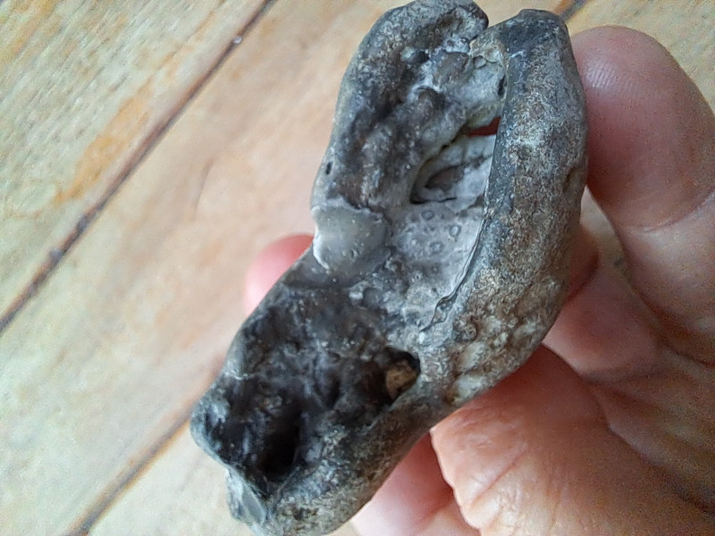 20260321_182407.jpg (717.05 KiB) 54 keer bekeken 20260321_182407.jpg