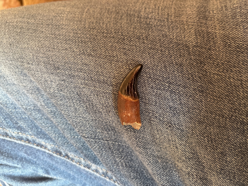 image.jpg (5.83 MiB) 88 keer bekeken image.jpg