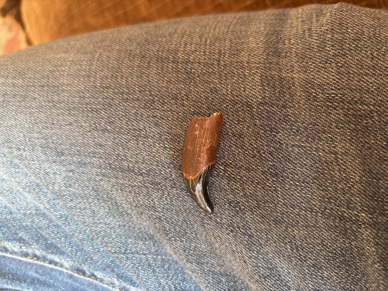 image.jpg (5.24 MiB) 88 keer bekeken image.jpg