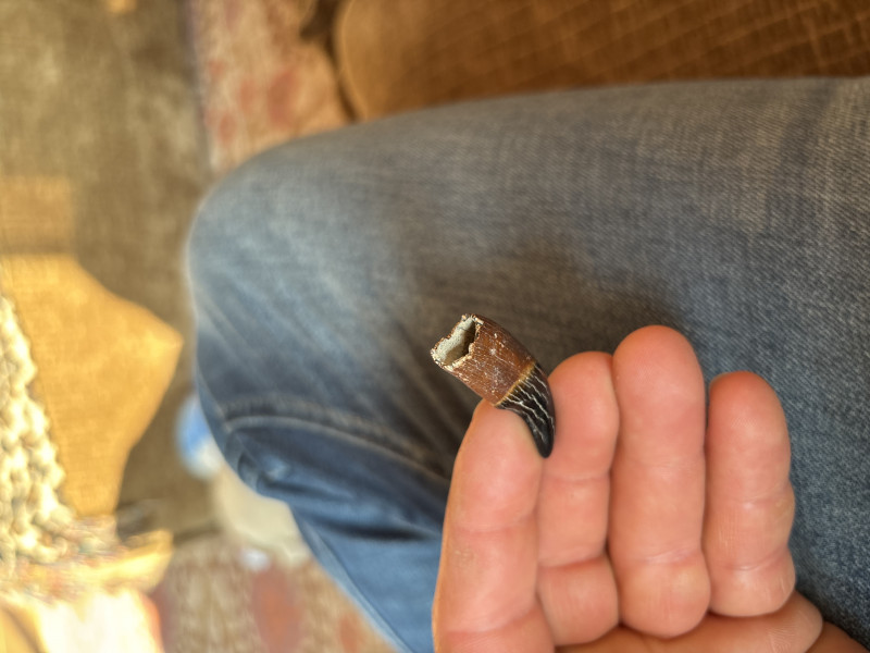 image.jpg (1.66 MiB) 88 keer bekeken image.jpg