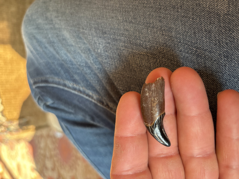 image.jpg (2.57 MiB) 88 keer bekeken image.jpg