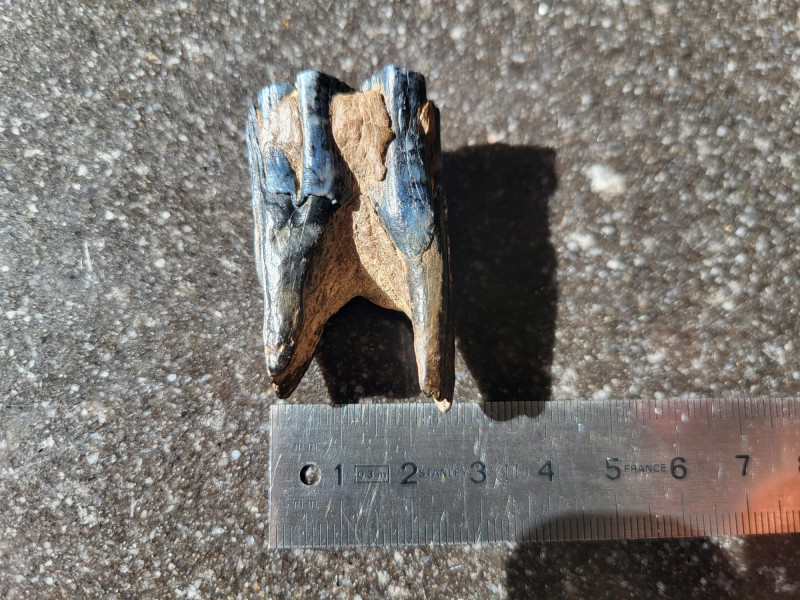 WhatsApp Image 2026-04-05 at 13.06.37.jpeg