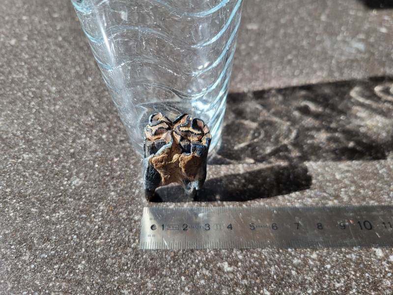 WhatsApp Image 2026-04-05 at 13.06.37 (1).jpeg