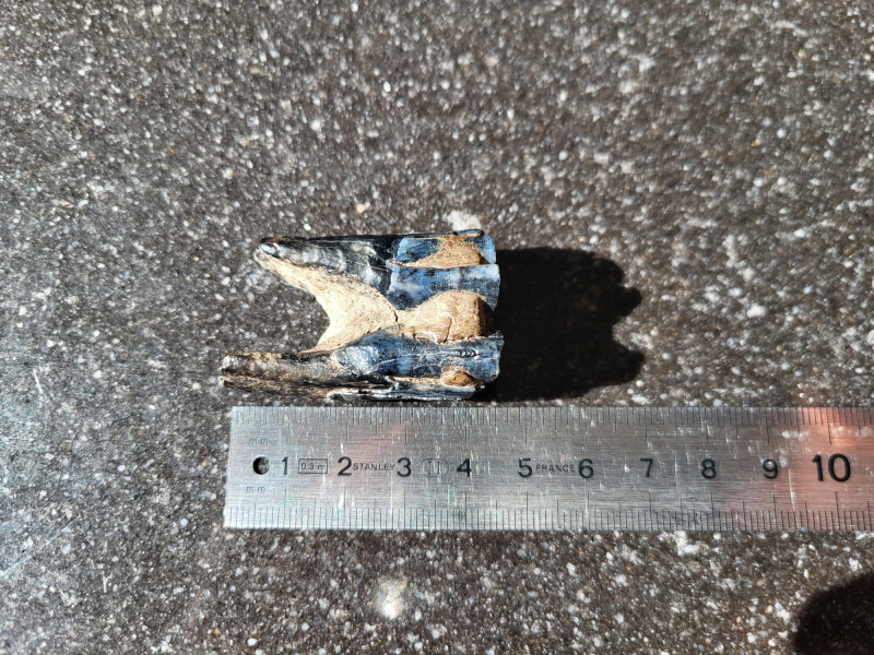 WhatsApp Image 2026-04-05 at 13.06.38.jpeg