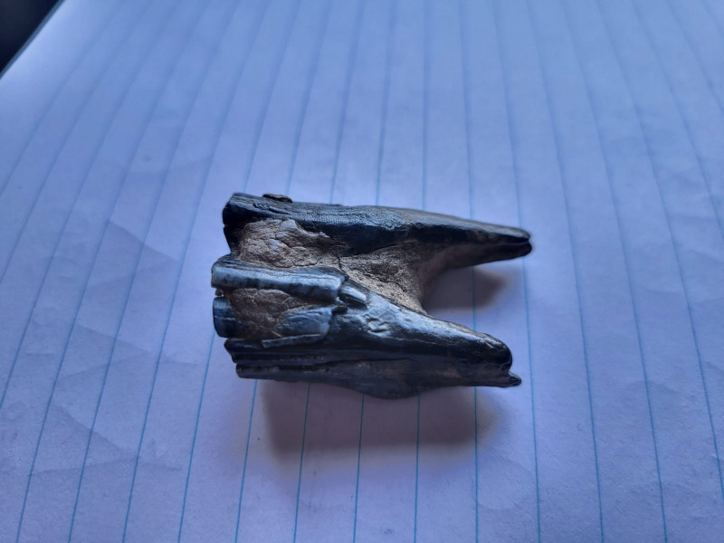 WhatsApp Image 2026-03-22 at 13.17.08 (1).jpeg