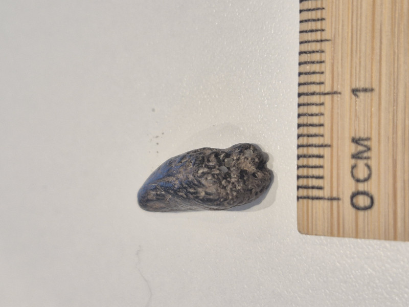 20260410_194345.jpg (2.44 MiB) 67 keer bekeken 20260410_194345.jpg