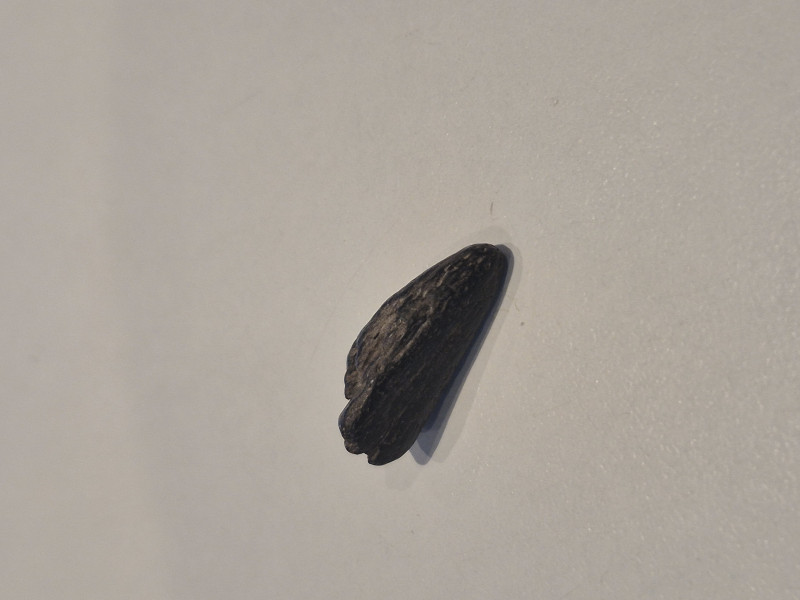 20260410_193719.jpg (2.3 MiB) 67 keer bekeken 20260410_193719.jpg