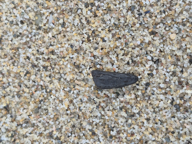 20260410_141143.jpg (3.79 MiB) 67 keer bekeken 20260410_141143.jpg