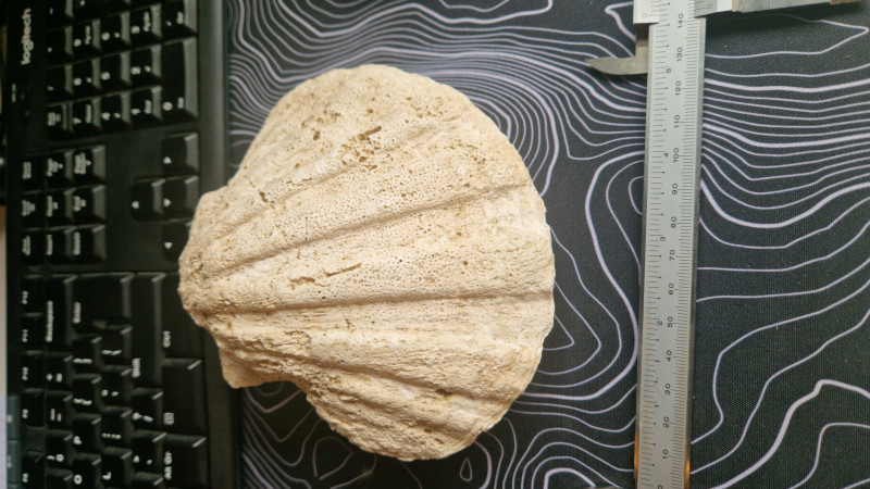 20260418_153002.jpg (10.77 MiB) 133 keer bekeken 20260418_153002.jpg