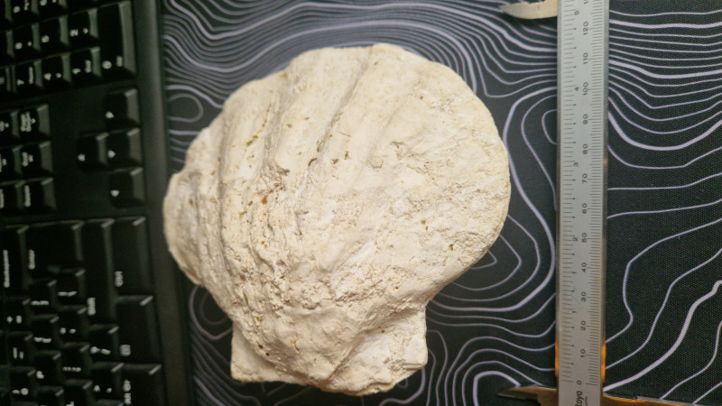 20260418_152946.jpg (10.28 MiB) 1079 keer bekeken 20260418_152946.jpg