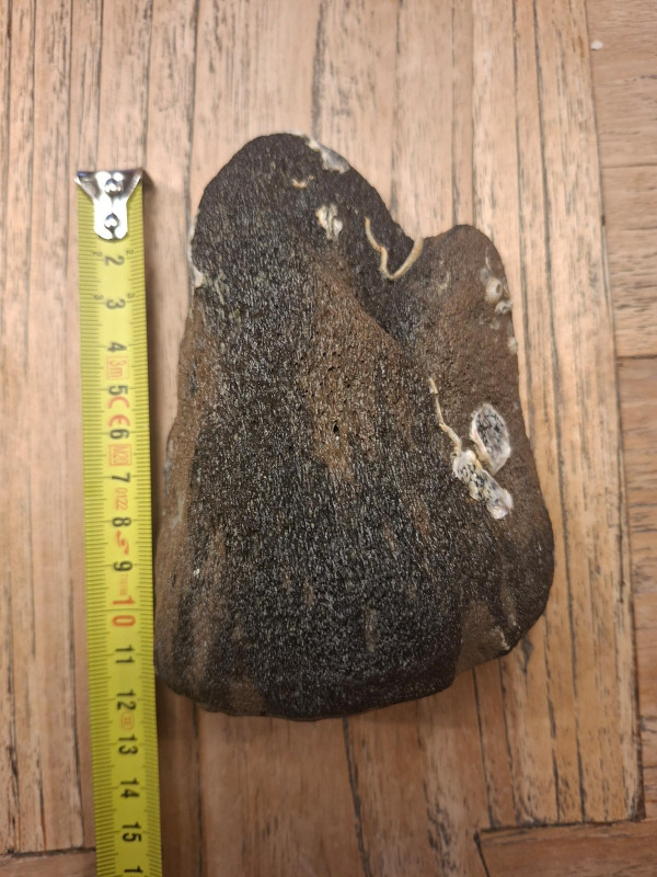 kaloot 29-04