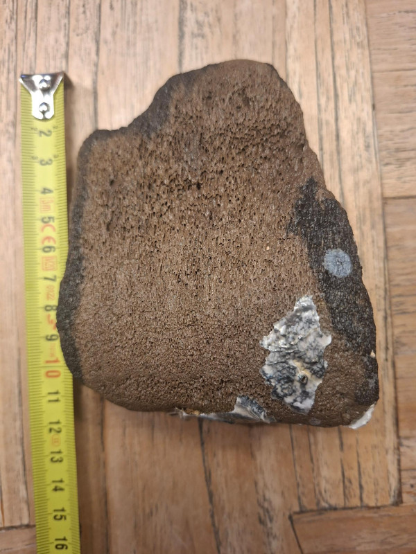 kaloot 29-04