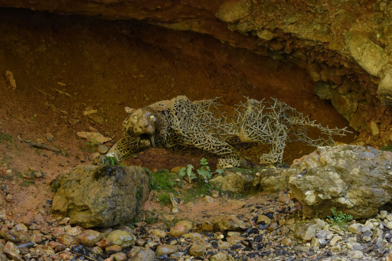 DSC_0404.jpg