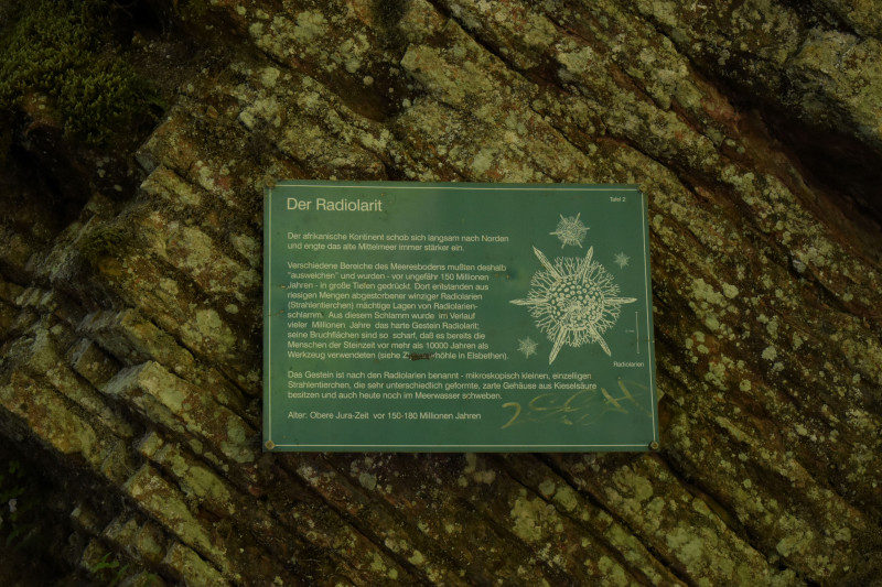 DSC_0405.jpg