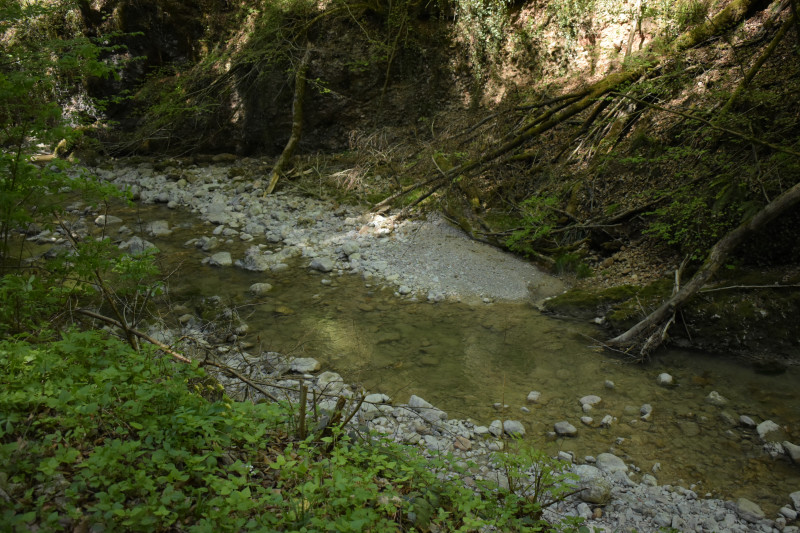 DSC_0403.JPG