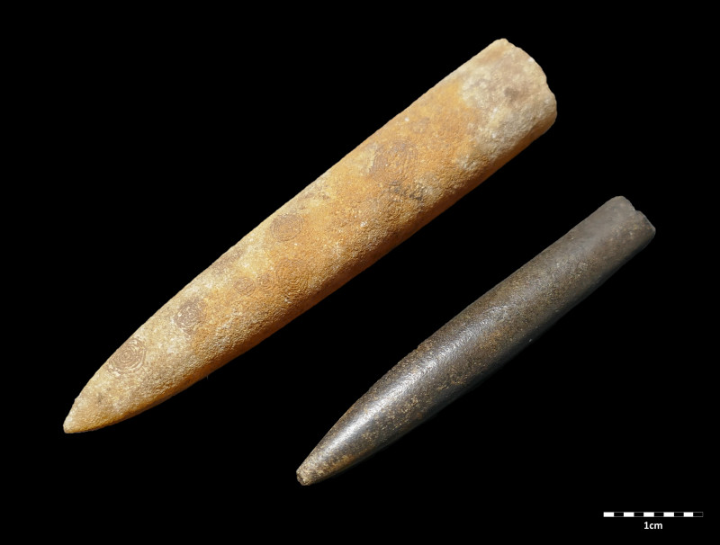 Selzerbeek_belemnites.jpg