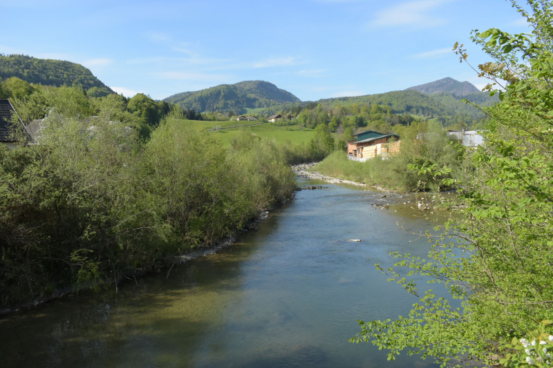 DSC_0521.JPG