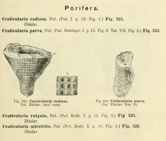 archivfrdienat15191120pr_0087.jpg
