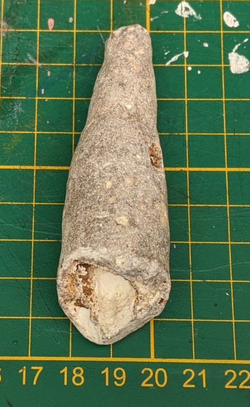 PXL_20260604_095956285.jpg