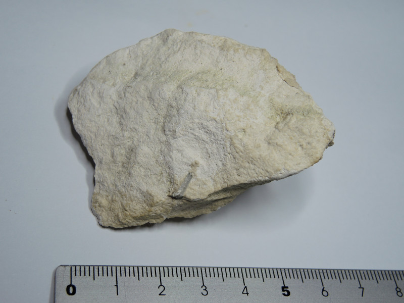 Foto 09