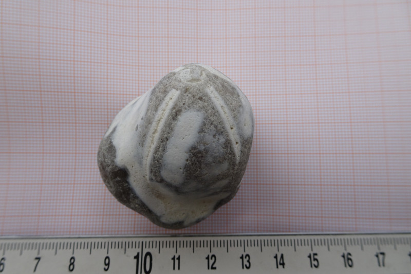DSC07019.JPG
