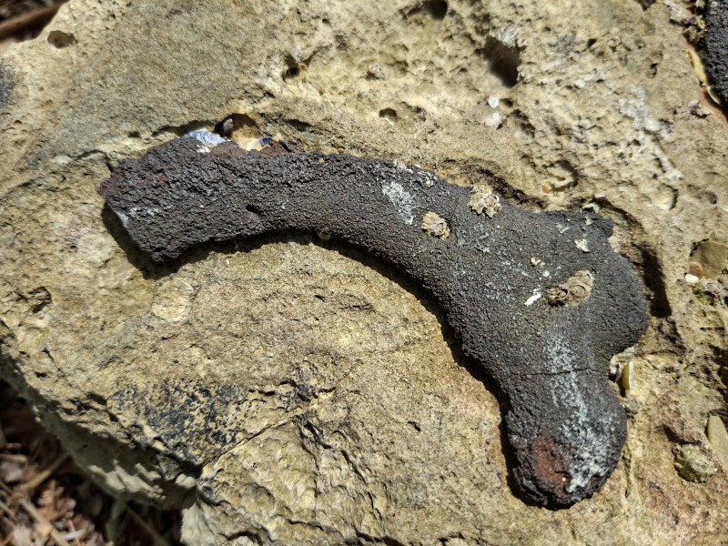 20260714_145631.jpg