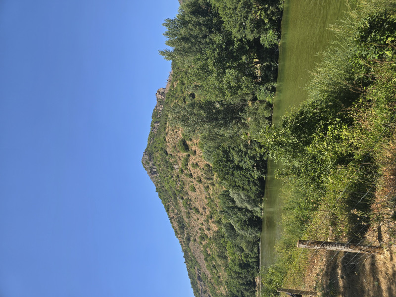20260723_142944.jpg
