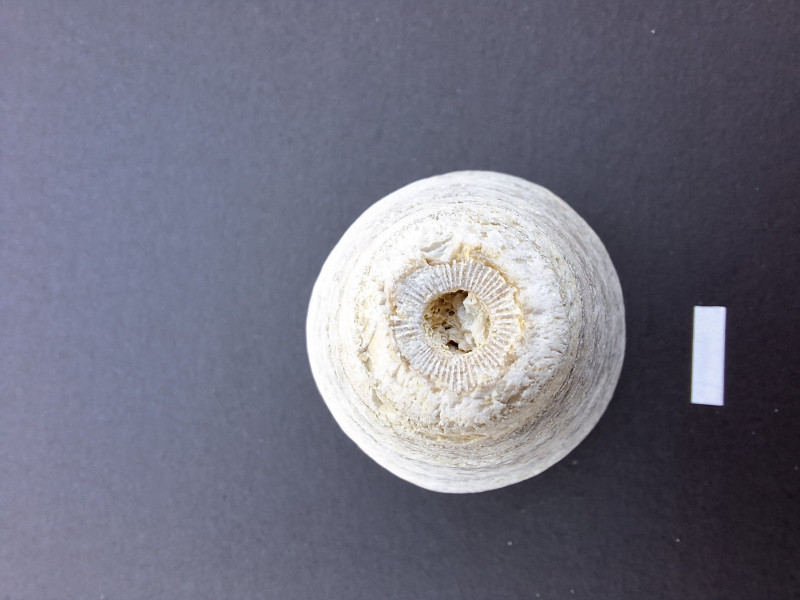 20260812_174533.jpg