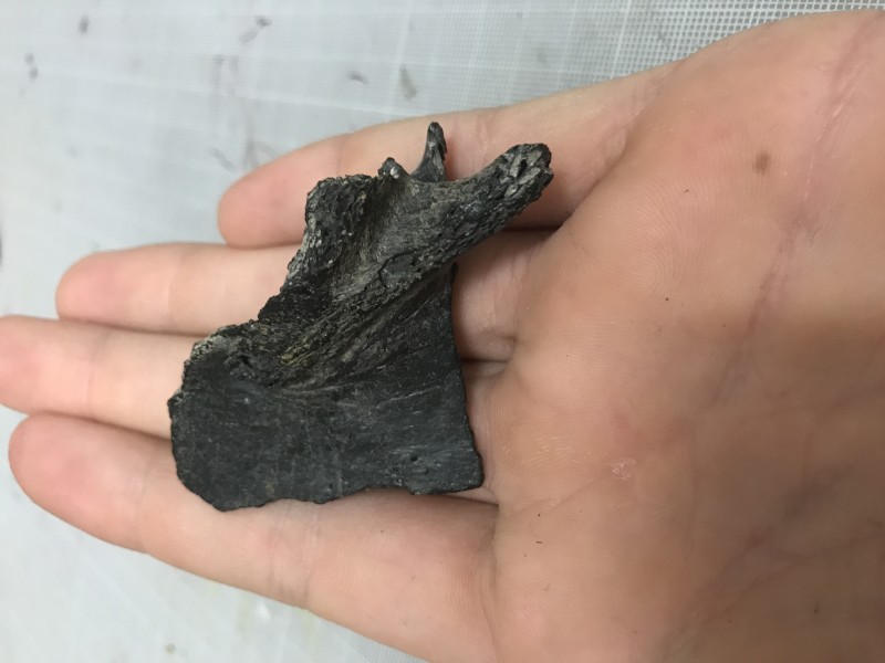 image.jpg (1.52 MiB) 949 keer bekeken image.jpg