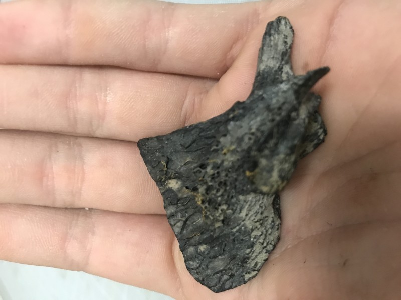 image.jpg (1.51 MiB) 949 keer bekeken image.jpg