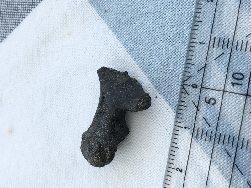 5AE930D0-FC14-4AE9-B66F-4E498955DD57.jpeg (422.37 KiB) 769 keer bekeken 5AE930D0-FC14-4AE9-B66F-4E498955DD57.jpeg