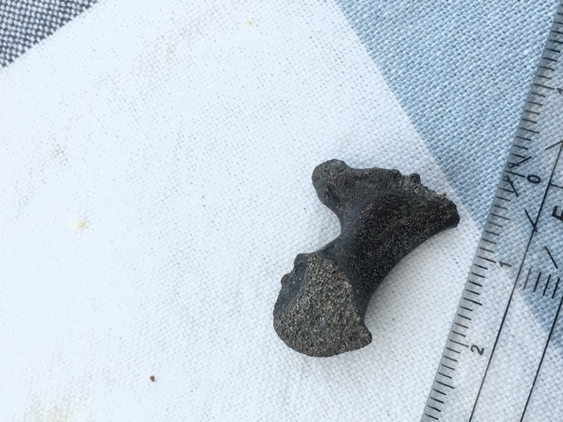 99F7E940-1BFE-43F9-87C5-81A15E1BA4AF.jpeg (393.29 KiB) 769 keer bekeken 99F7E940-1BFE-43F9-87C5-81A15E1BA4AF.jpeg