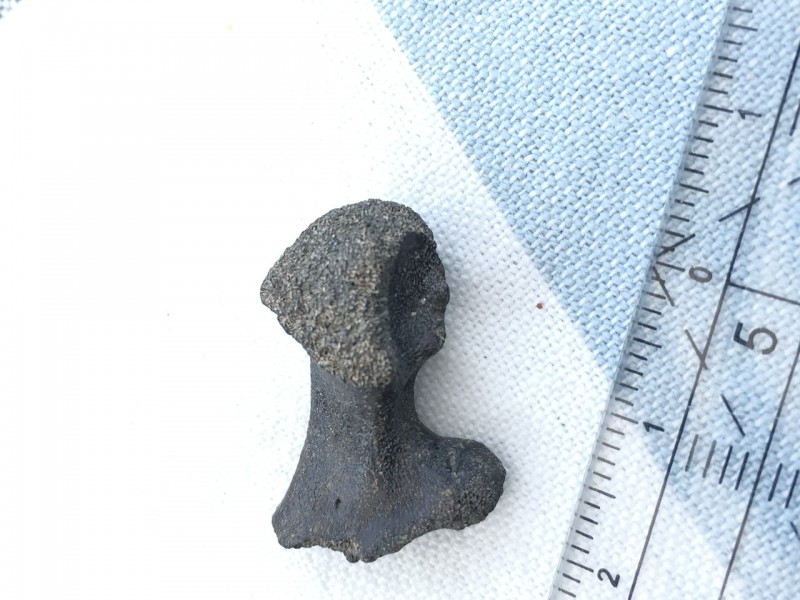 3818240E-4F76-4784-87F4-AC2A2DE88E0F.jpeg (294.31 KiB) 769 keer bekeken 3818240E-4F76-4784-87F4-AC2A2DE88E0F.jpeg