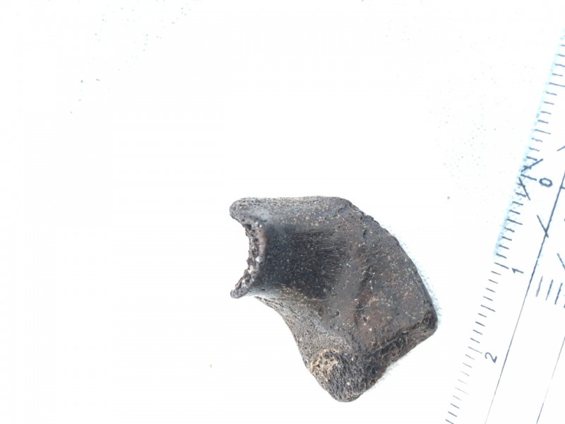 E8926444-9336-4711-A2C9-6E50E2E2F1DE.jpeg (110.93 KiB) 769 keer bekeken E8926444-9336-4711-A2C9-6E50E2E2F1DE.jpeg